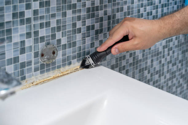 Best Commercial Mold Removal  in Boston, GA
